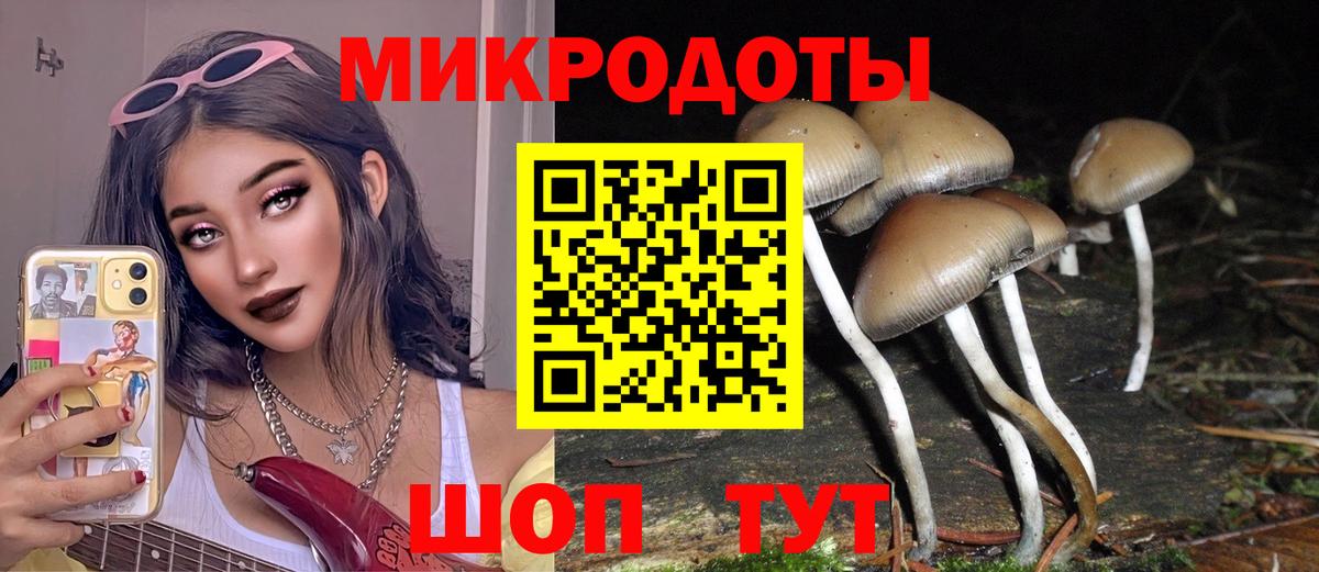 Псилоцибиновые грибы GOLDEN TEACHER  Вход с VPN  Ливны  Галлюциногенные грибы Psilocybe 